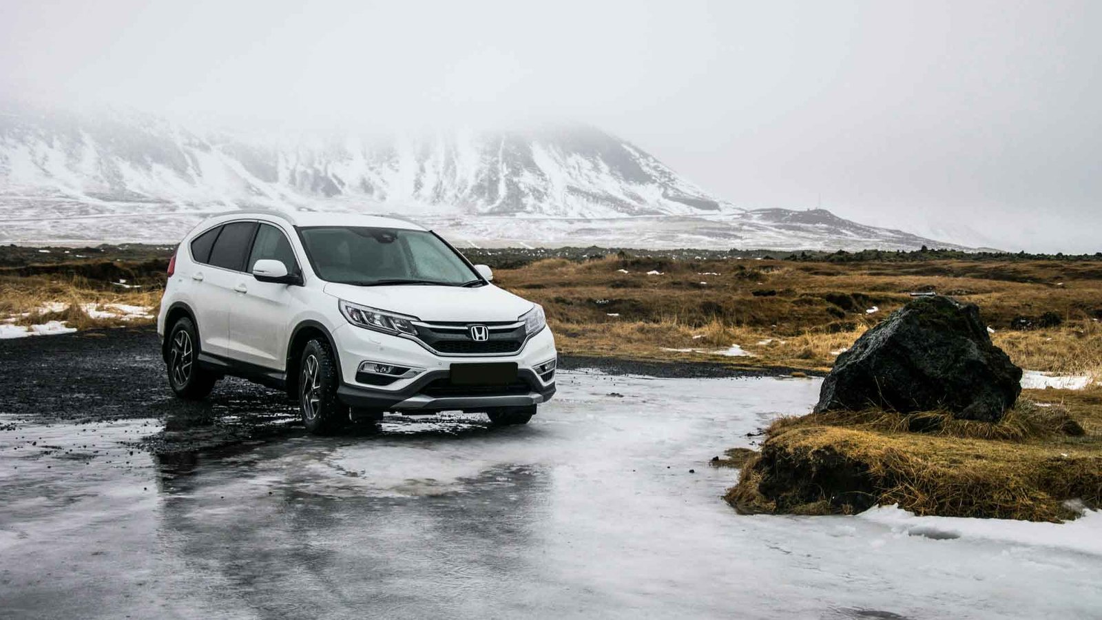 WayBi Transportation